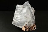 Glassy Selenite Crystal Cluster - Naica Mine, Mexico #325055-2